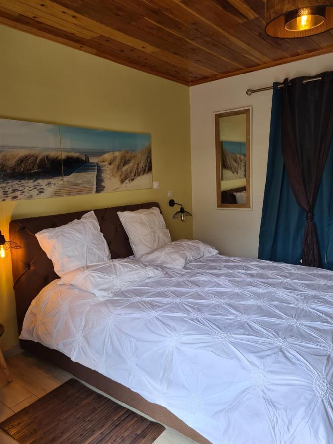 Chambres Et Tables D'Hote Du Voyageur Ла Плен де Палмист Екстериор снимка